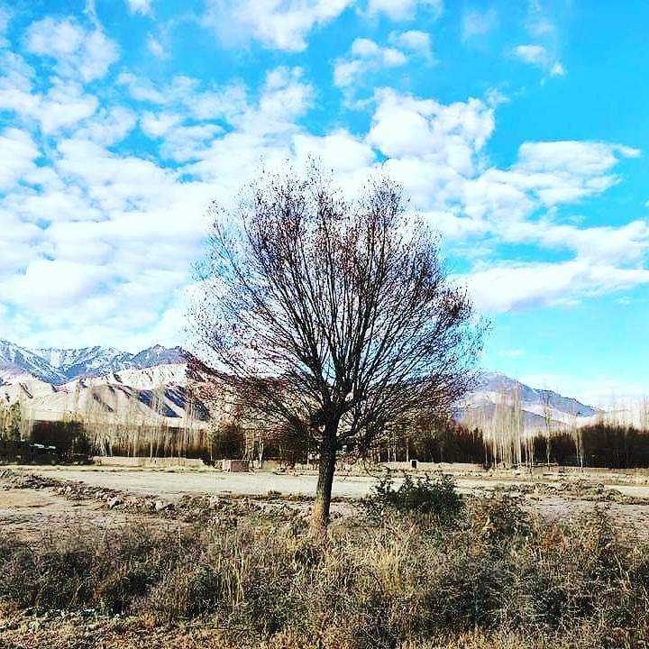 Leh Ladakh.jpg